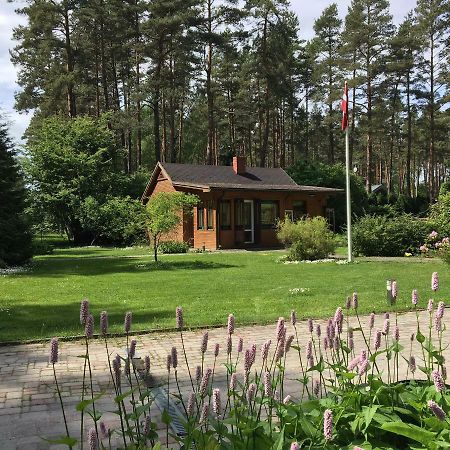Forest House With Outdoor Hot Tub Jūrkalne Kültér fotó