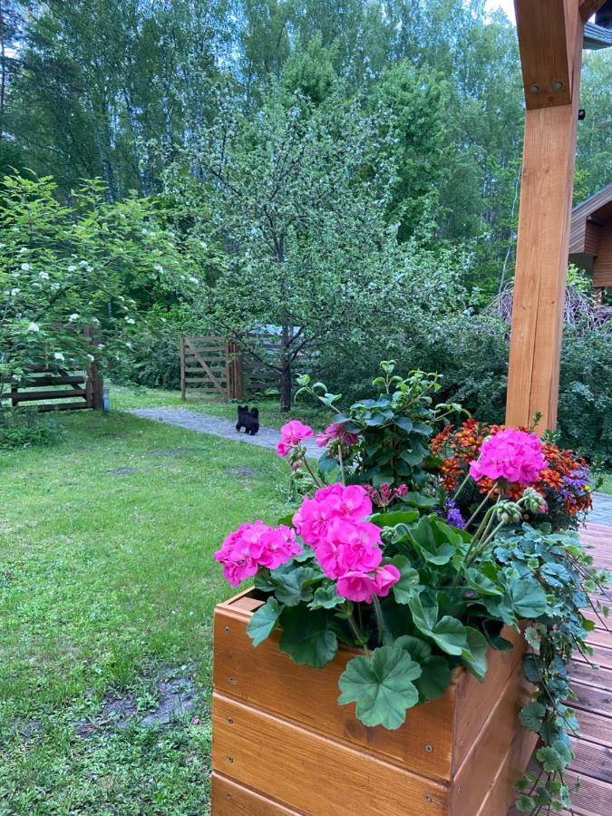 Forest House With Outdoor Hot Tub Jūrkalne Kültér fotó